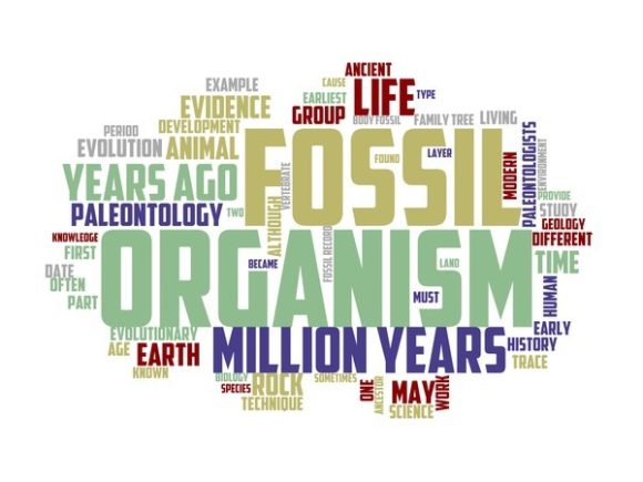 Palaeontologist Typography Crafting