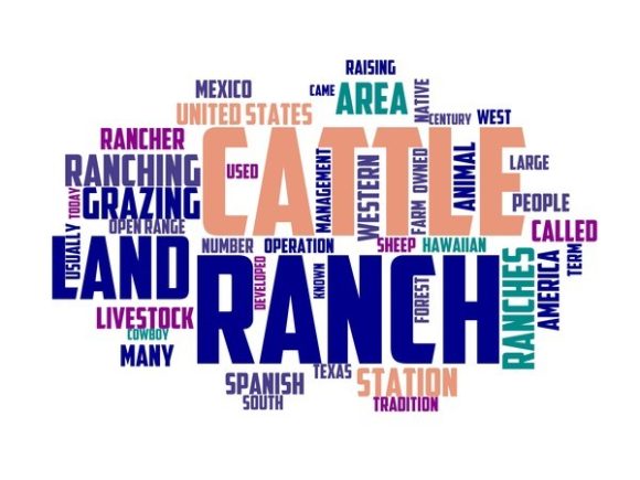 Ranchi Typography Crafting: Hand-Drawn Wordclouds That Bring Color, Personality, and Purpose to Real Projects